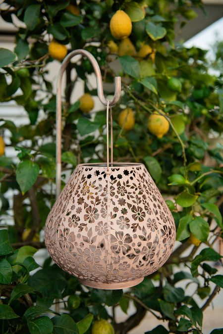 Solar Antic Latern Carrera Oval